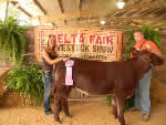 2011 Delta Fair Junior Show